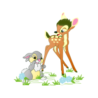 Illustration Animals