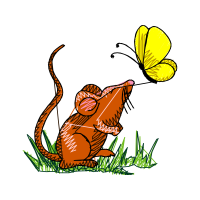 Illustration Animals