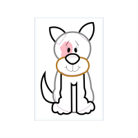 Illustration Animals