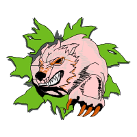 Illustration Animals