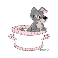 Illustration Animals