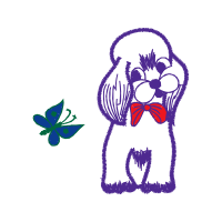 Illustration Animals