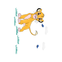 Illustration Animals