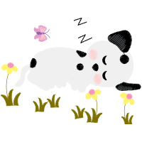 Illustration Animals