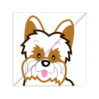 Illustration Animals