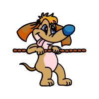 Illustration Animals