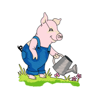 Illustration Animals