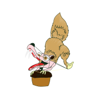 Illustration Animals