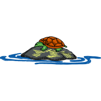 Illustration Animals