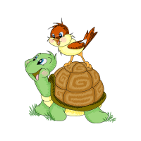 Illustration Animals Illustration Animals