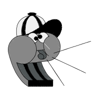 Illustration Animals