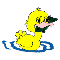 Illustration Animals