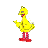 Illustration Animals