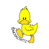 Illustration Animals