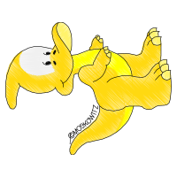 Illustration Animals