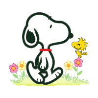 Illustration Animals