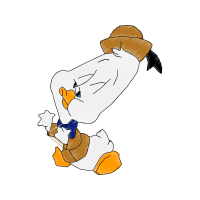 Illustration Animals