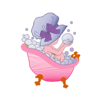 Illustration Animals