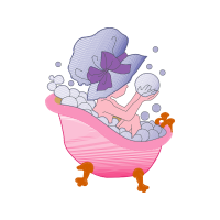 Illustration Animals