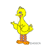 Illustration Animals