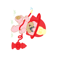 Illustration Animals