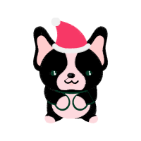 Illustration Animals