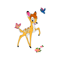 Illustration Animals