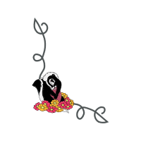 Illustration Animals