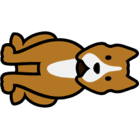 Illustration Animals