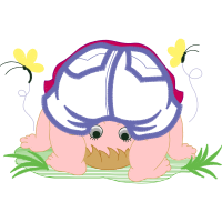 Illustration Animals