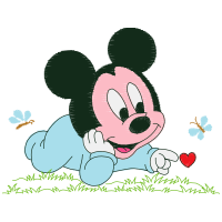 Illustration Animals