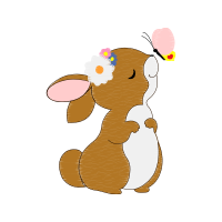 Illustration Animals