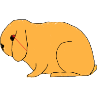 Illustration Animals