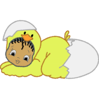 Illustration Animals