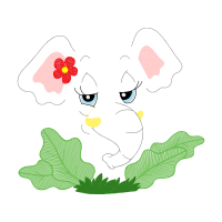Illustration Animals