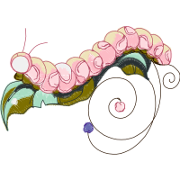 Illustration Animals