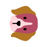 Illustration Animals