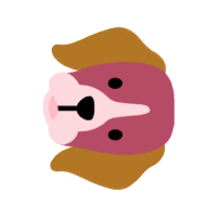 Illustration Animals