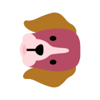 Illustration Animals