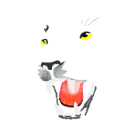 Illustration Animals