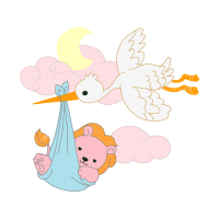 Illustration Animals