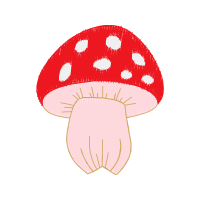 Illustration Animals