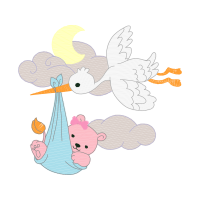 Illustration Animals