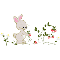 Illustration Animals