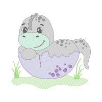 Illustration Animals