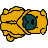 Illustration Animals