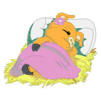 Illustration Animals