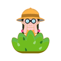 Illustration Animals