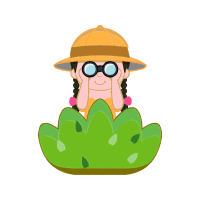 Illustration Animals