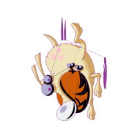 Illustration Animals